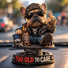 Too Old To Care Armaturenbrett