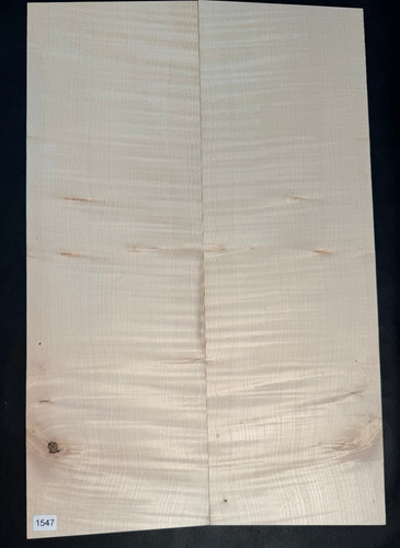 Riegelahorn drop top - |, tonholz
