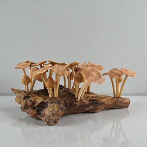 Holzpilze figur holzpilz - holzpilze, figur,