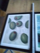 Bilder Küche/Esszimmer