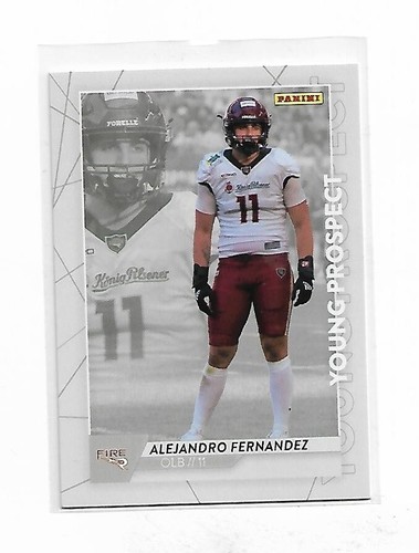 2023 panini elf - panini, young