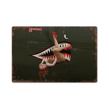 Warhawk 2. WK Flugzeug Nose Art Pin Up Vintage Retro Sign Blechschild Schild NEU