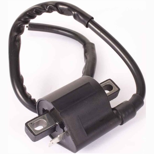 Zündmodul zündspule pin - zündspule, 1-pin