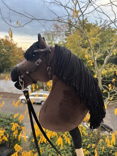 Hobby horse - hobby,