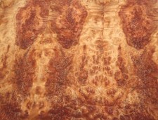 Kampher Wurzelholz Furnier Kampfer 67x14-21cm 2 Blätter