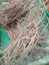 6 kg angelaufener/gebrannter