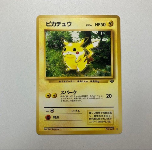 Pikachu old back 2nd - pikachu, ●
