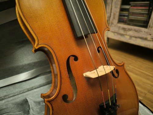 Viola bratsche komplett - viola, set