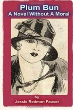 Plum Bun: A Novel Without A Moral by Fauset, Jes... | Book | condition very good