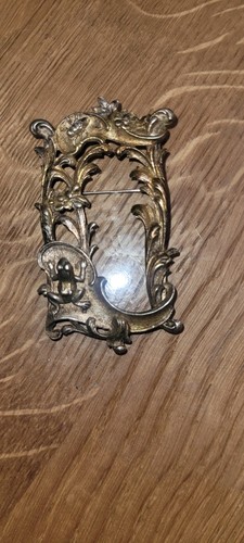 Brosche insekt frosch 900 - insekt,