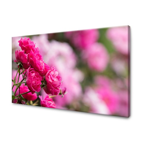 Canvas leinwandbilder xxl - ,