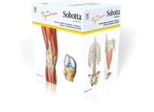 Sobotta Lernkarten für