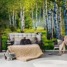 Fototapete Wald Sonne Grün