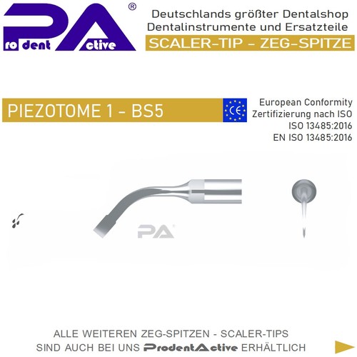 Scaler tip zeg spitze bone - -, zeg-spitze