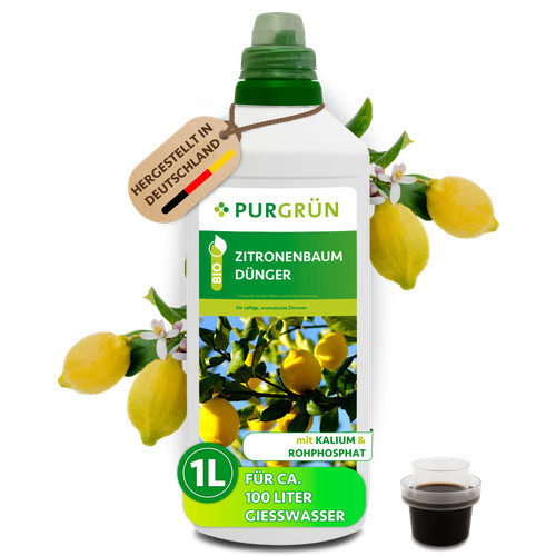 Purgrün bio zitronenbaum - purgrün,