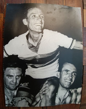 Merckh Dancelli Poulidor Echte