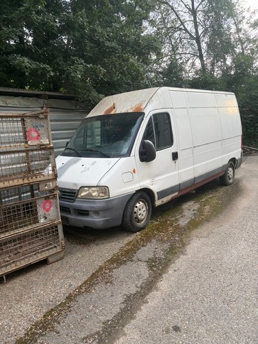 Ducato maxi 244l - ducato,