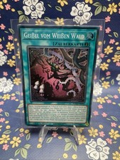 GEIßEL VOM WEIßEN WALD ROTA-DE056