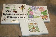 3 Gartenbücher Kindergarten Schulgarten Experimente Botanik gärtnern DDR