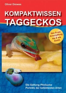 Kompaktwissen taggeckos die - kompaktwissen, taggeckos: