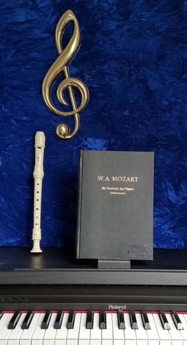 Mozart die hochzeit des - mozart,,