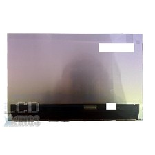 Asus Zenbook 14 UX3402 14 Zoll