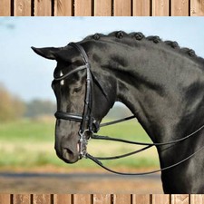 Busse kandare premium - busse,