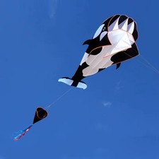 Delfin Drachen mit 100m Schnur