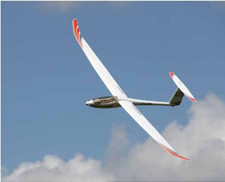 Multiplex Lentus BK Multiplex