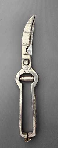 Alte geflügelschere kurt - alte, geflügelschere,