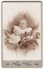 Fotografie P. Wolfkamp