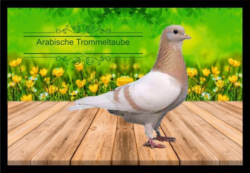 Fußmatte schmutzfangmatte - fußmatte,