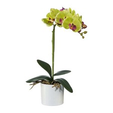 Kunstblume PHALAENOPSIS, künstliche Orchidee im KERAMIKTOPF. Ca 40cm. GRÜN-ROT