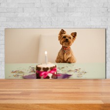 Küchenrückwand Spritzschutz