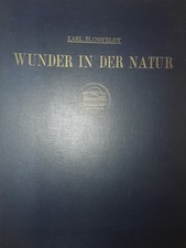 Karl Blossfeldt. Wunder in der Natur. Erstausgabe 1942.