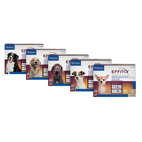 Effitix flöhe zecke - effitix¹,