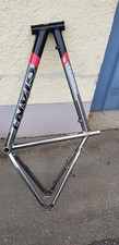 Giant terrago - f, s