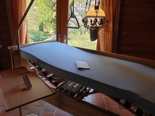 Burmeier Pflegebett Homecare Living Dali Elektrisch m. Kabelloser Fernbedienung