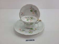 Sammeltasse Kaestner Saxonia