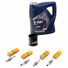 4L Öl Inspektionspaket für