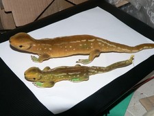 Steiff Eidechsen Lizzy groß