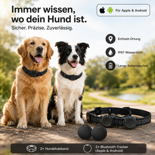 2er set hundehalsband mit - 2er,