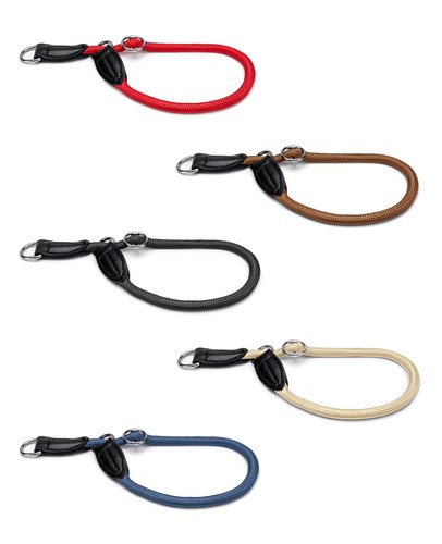 Lionto hundehalsband - lionto,