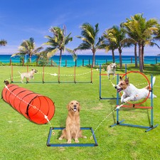 Dog Agility Training Kit Pet