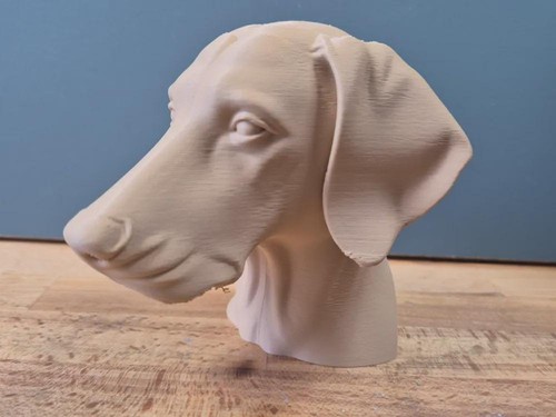 Dobermann mit natürlichen