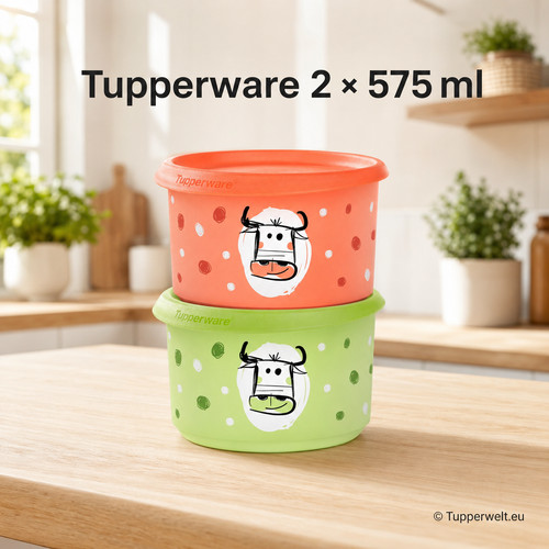Tupperware dosen 2er set - tupperware,