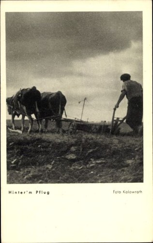 Landwirtschaft hinter dem - ak, landwirtschaft,