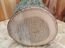 Eiche Drechselholz – 14,5 cm