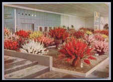 Ansichtskarte Erfurt / DDR /