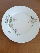Speiseteller porzellan - ,